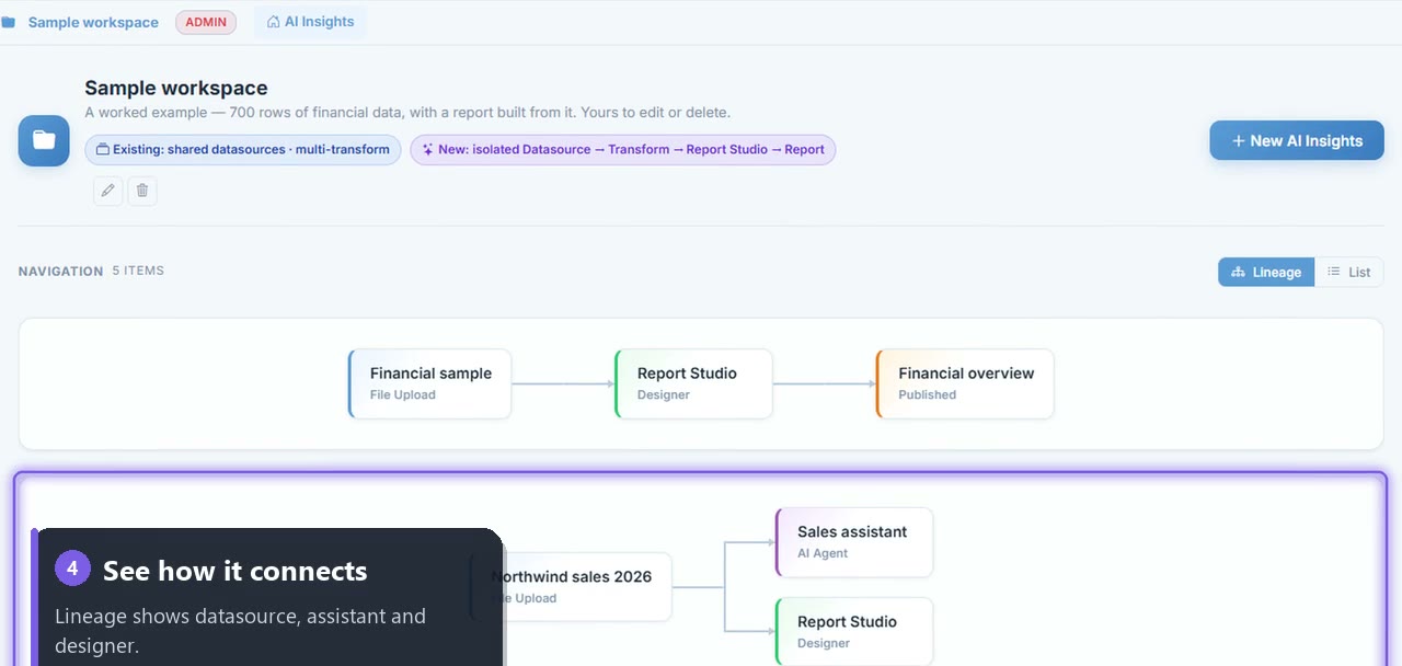 The workspace lineage view showing each datasource, its assistant and its reports
