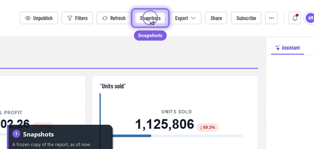 The Snapshots button in the report toolbar